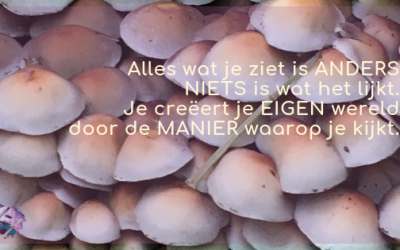 Ik zie, ik zie, wat jij niet ziet …