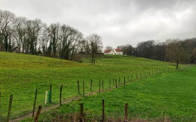 Vooroordelen