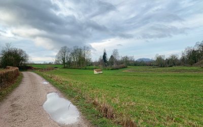 “We lopen op het juiste pad”