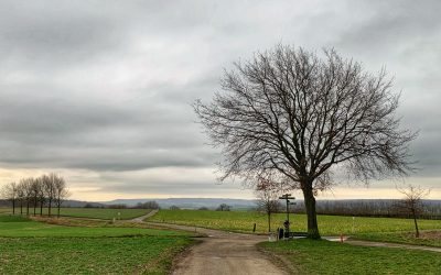 Keuzestress