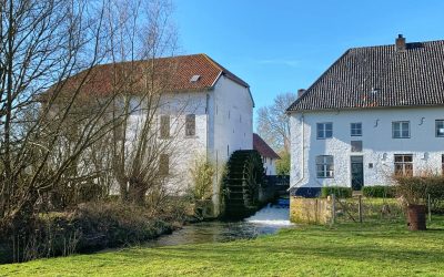 Vertrouwen en overgave