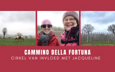 Cirkel van invloed