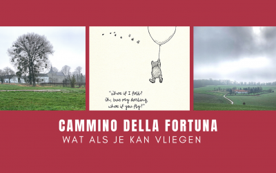 Wat als je kan vliegen?