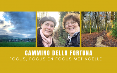 Focus, focus, focus