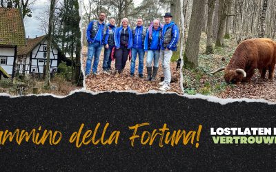 Loslaten en vertrouwen