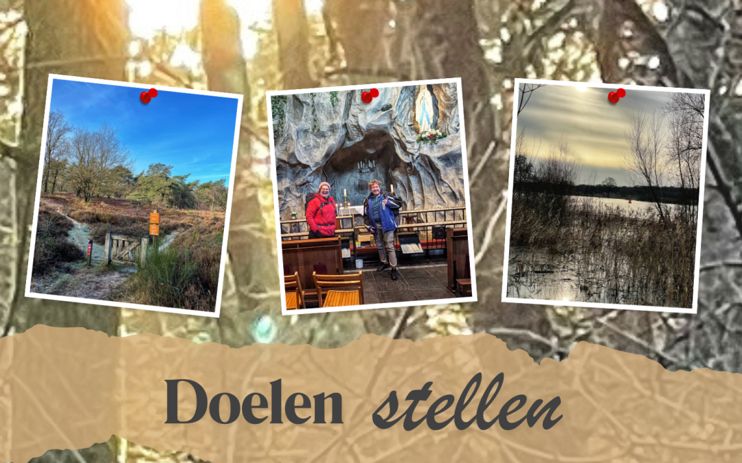 Doelen stellen